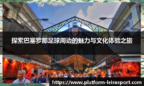 雷速体育比分